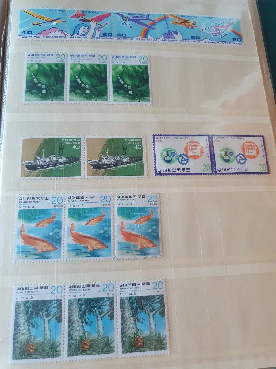 thumbnail-2